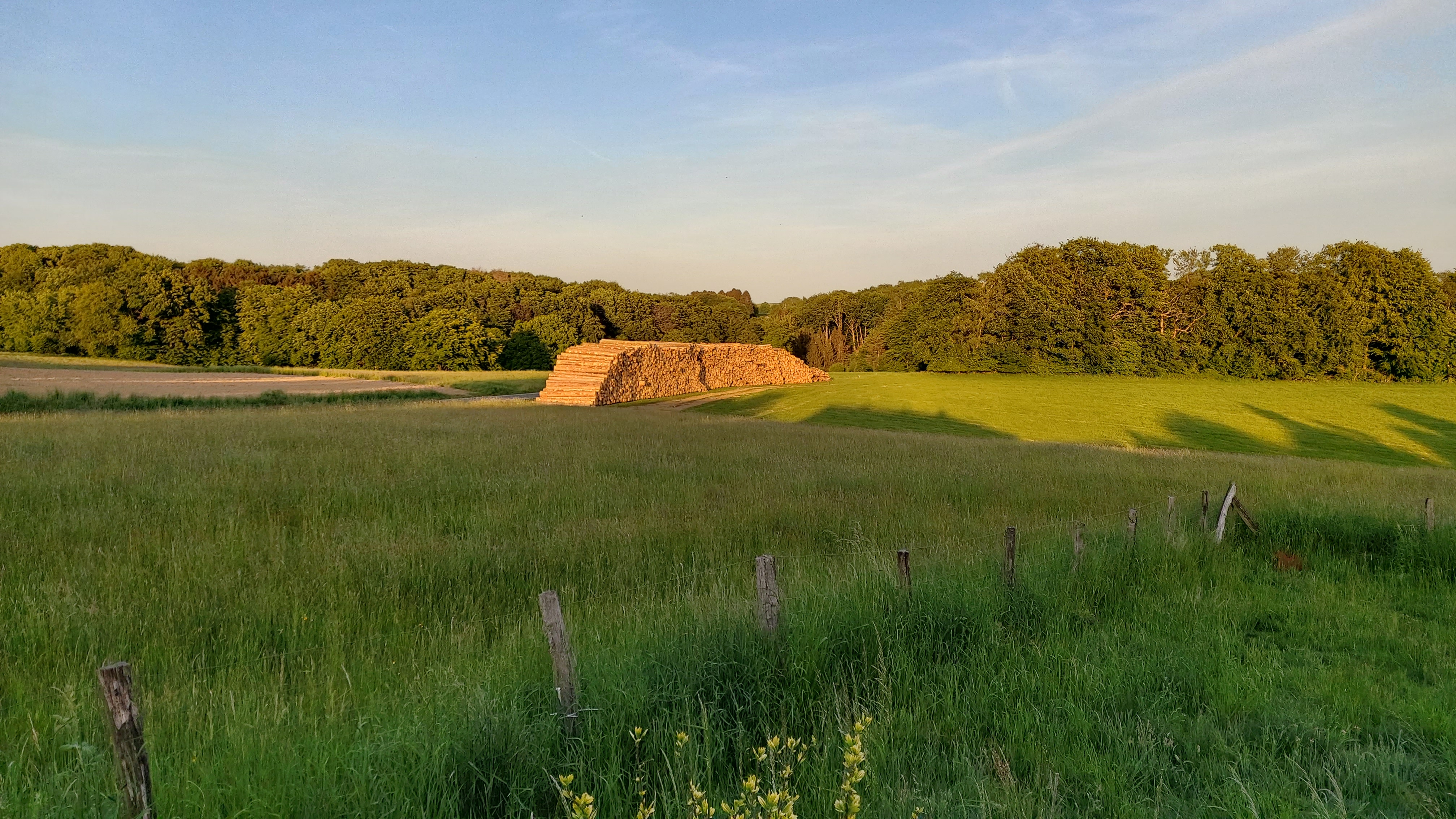 Holzstapel auf der K11