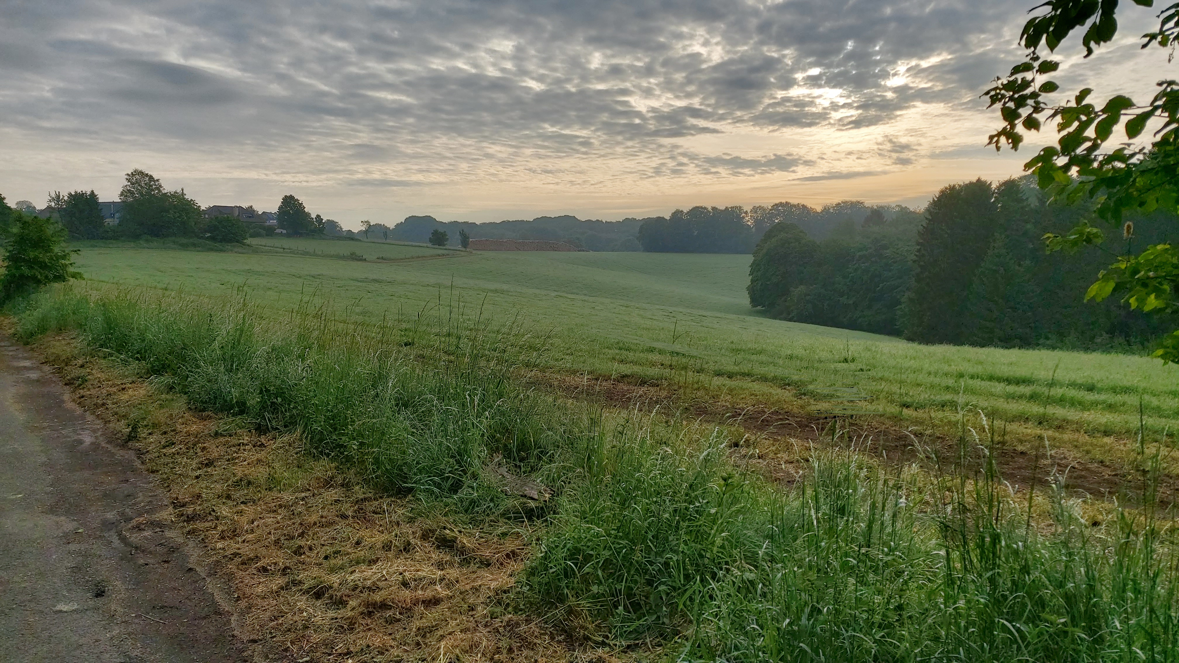 Das Höferhofer Feld vom Sportplatz aus gesehen