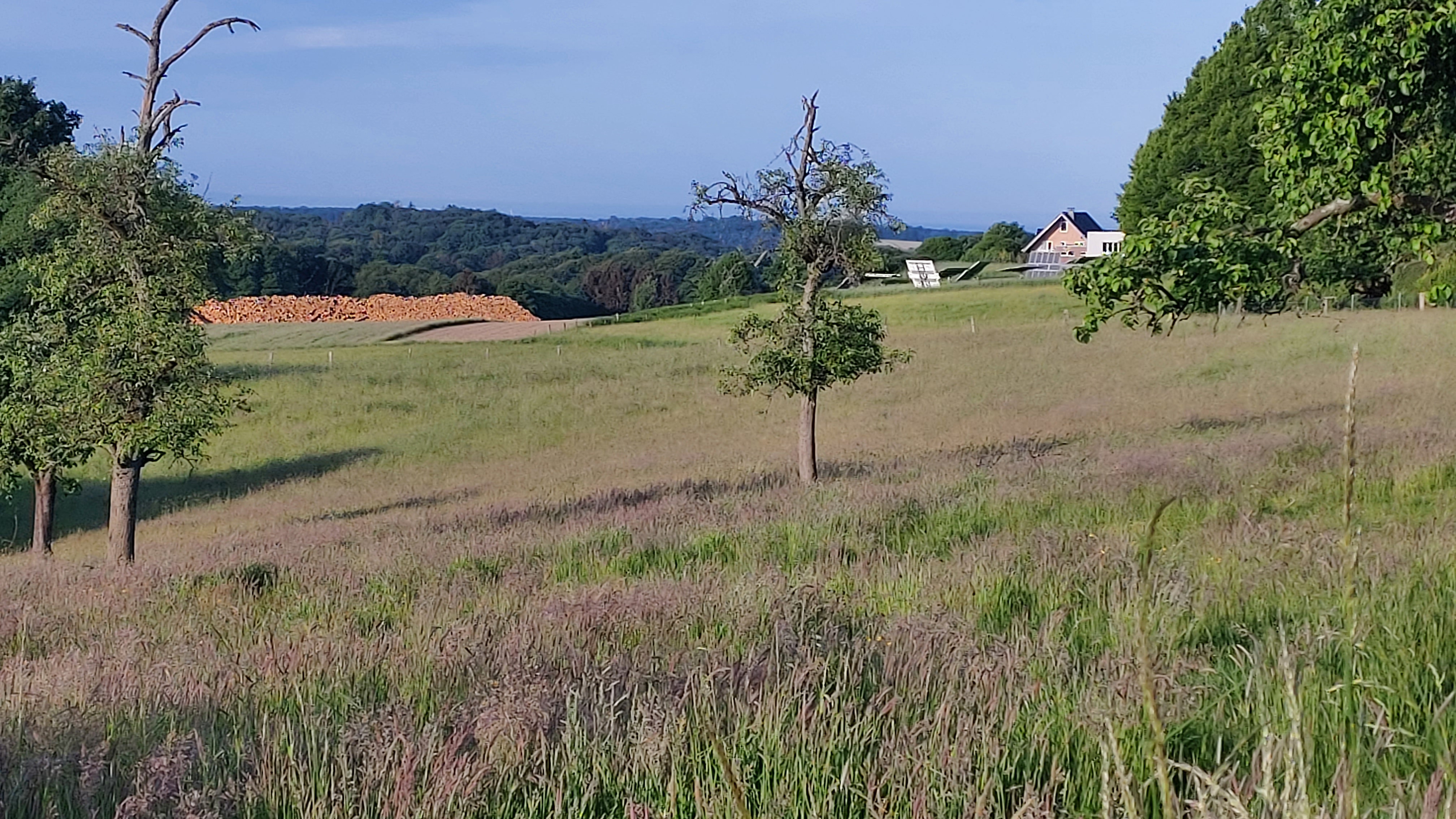 Blick aus Arnzhäuschen auf die K11 mit dem Holzstapel